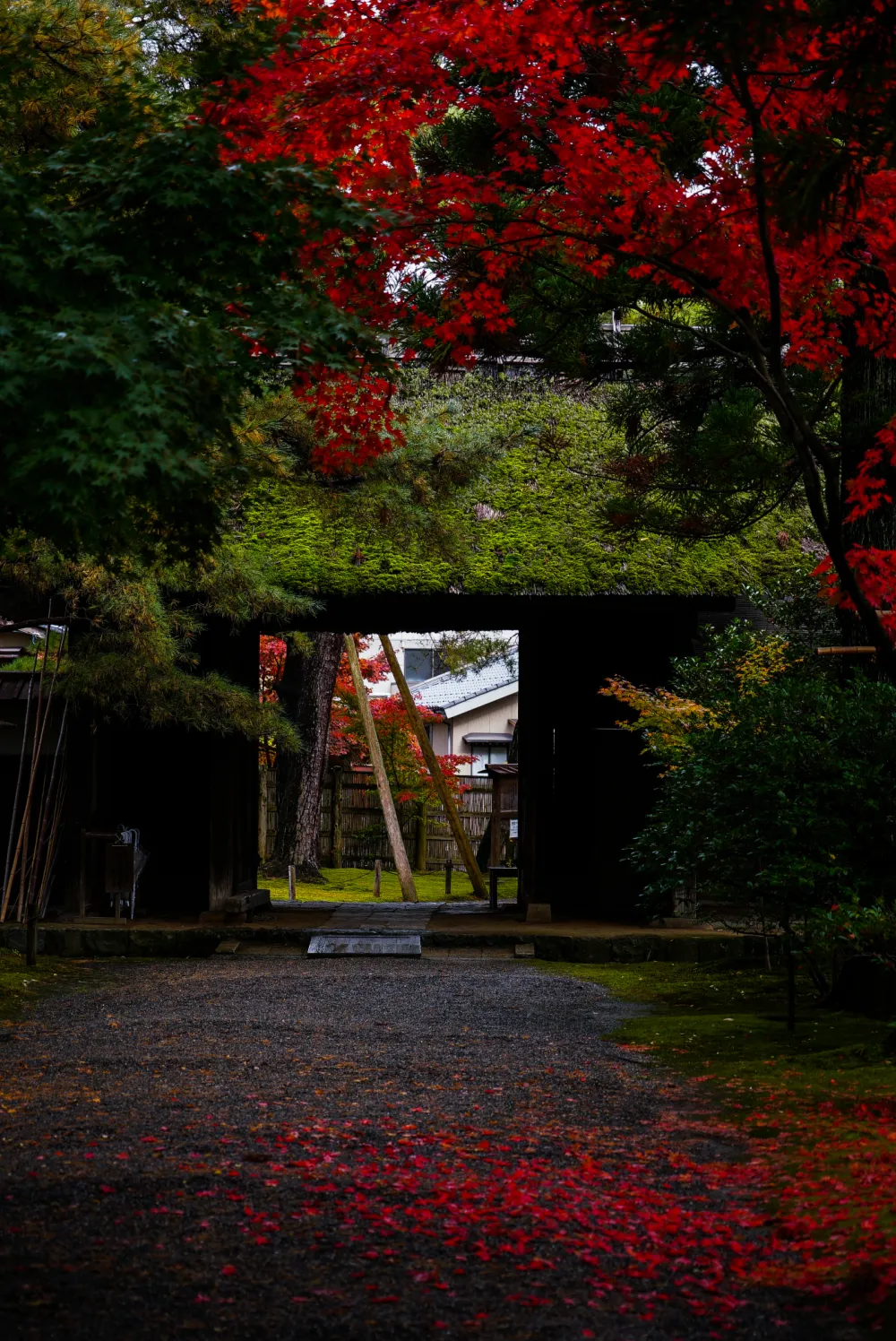 清水園