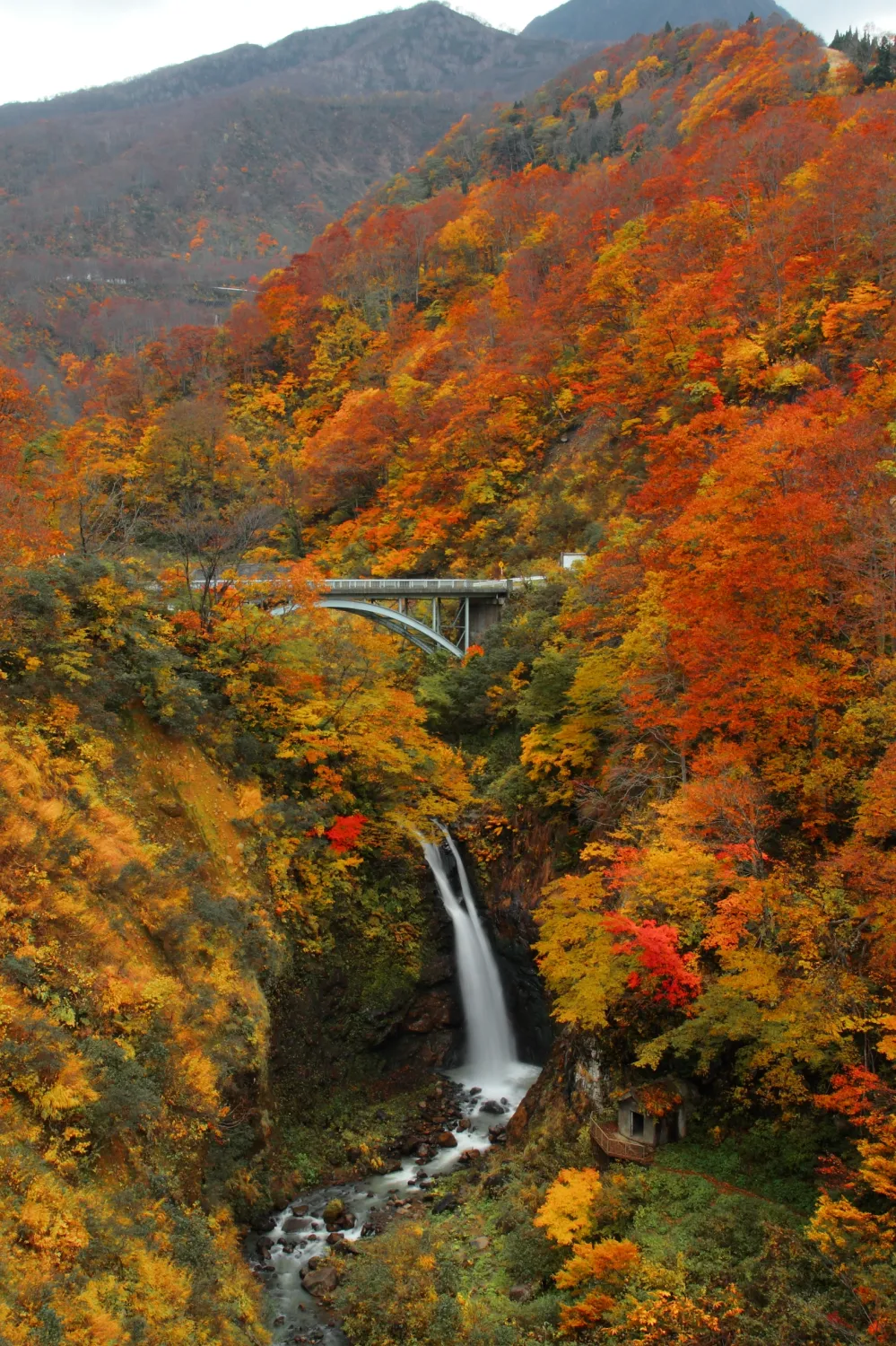 不動滝の紅葉