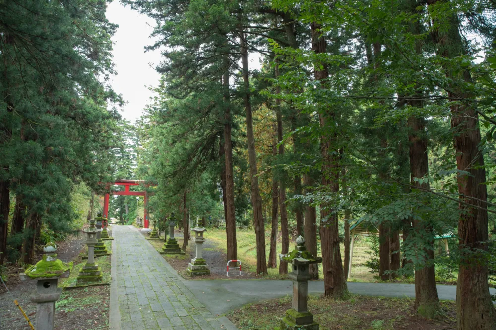 蒼柴神社