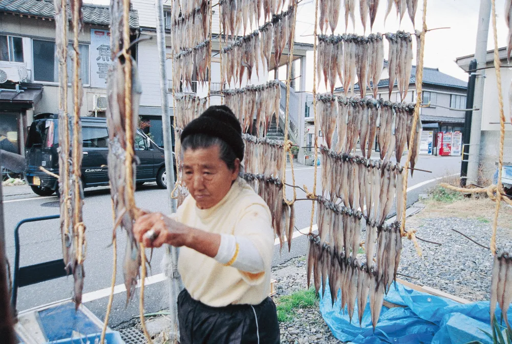 ゲン魚ぼし