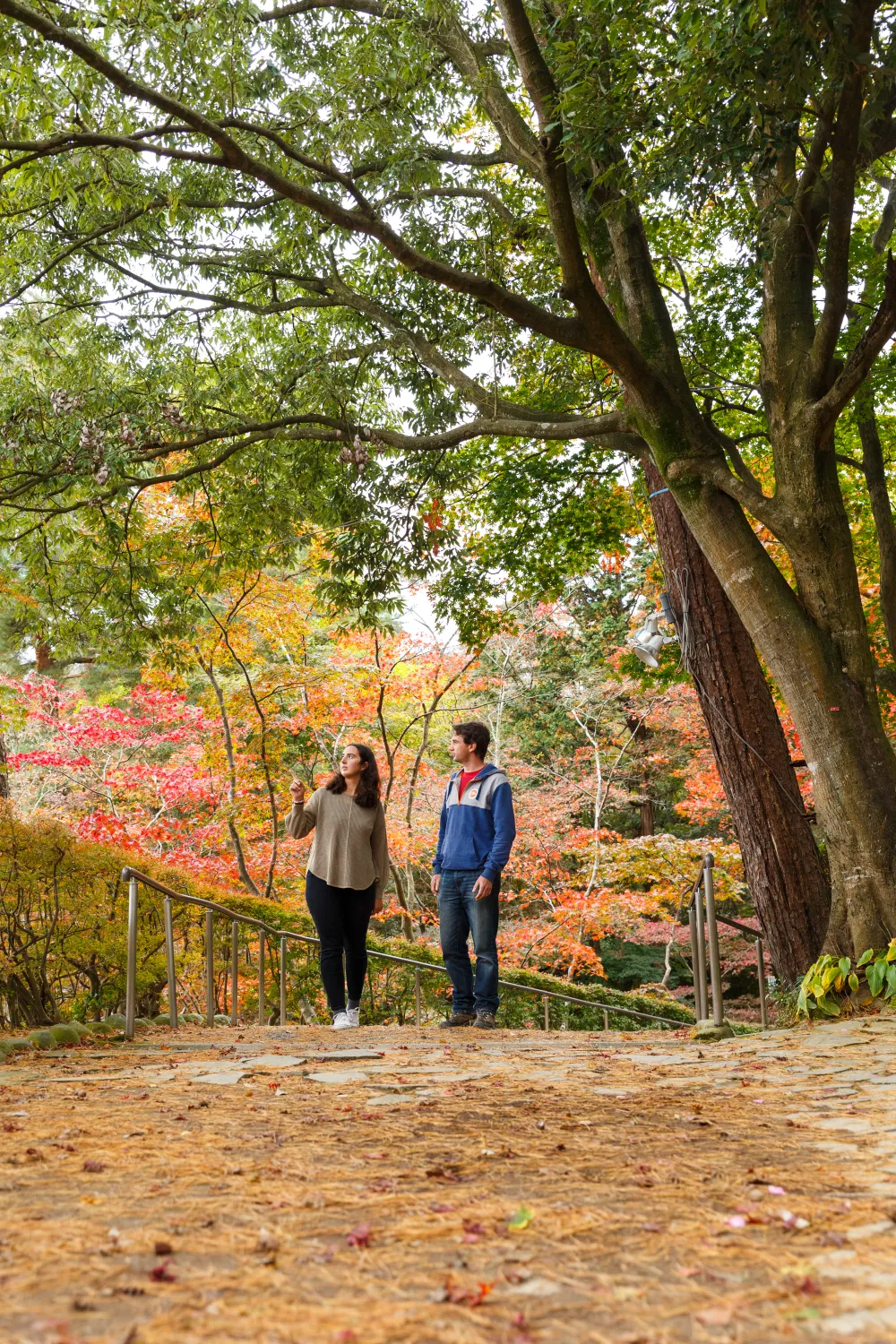 松雲山荘庭園