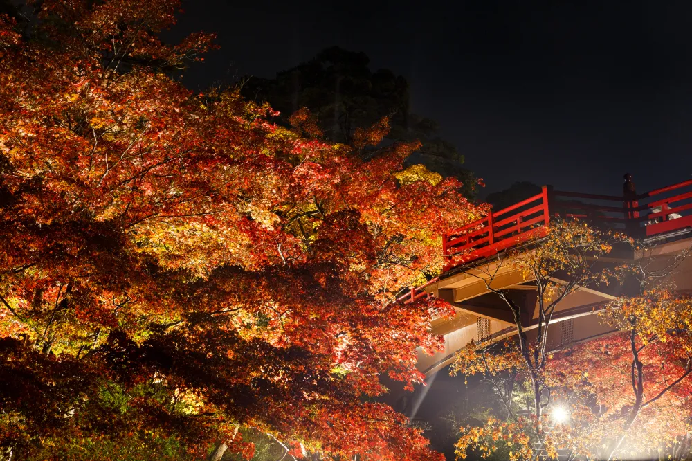 弥彦公園