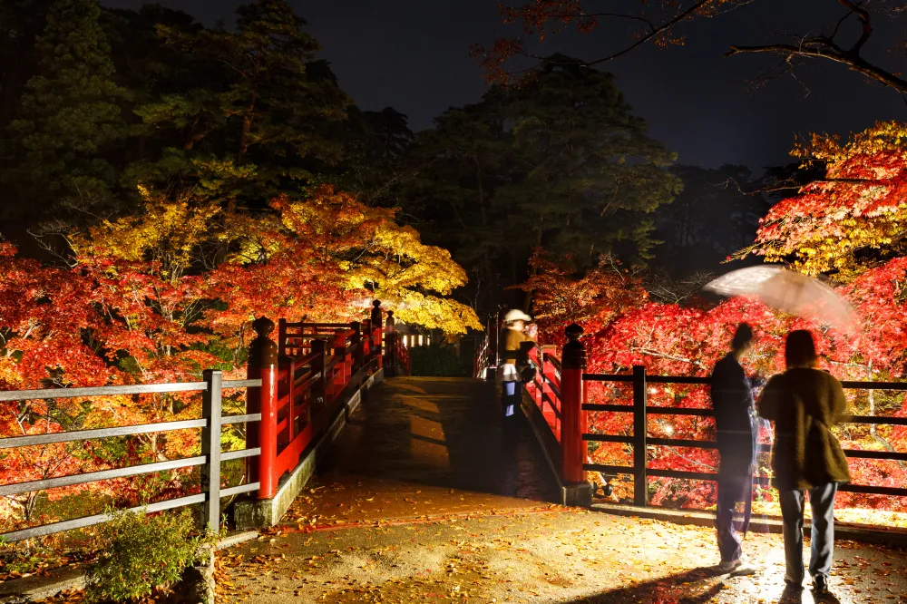 弥彦公園