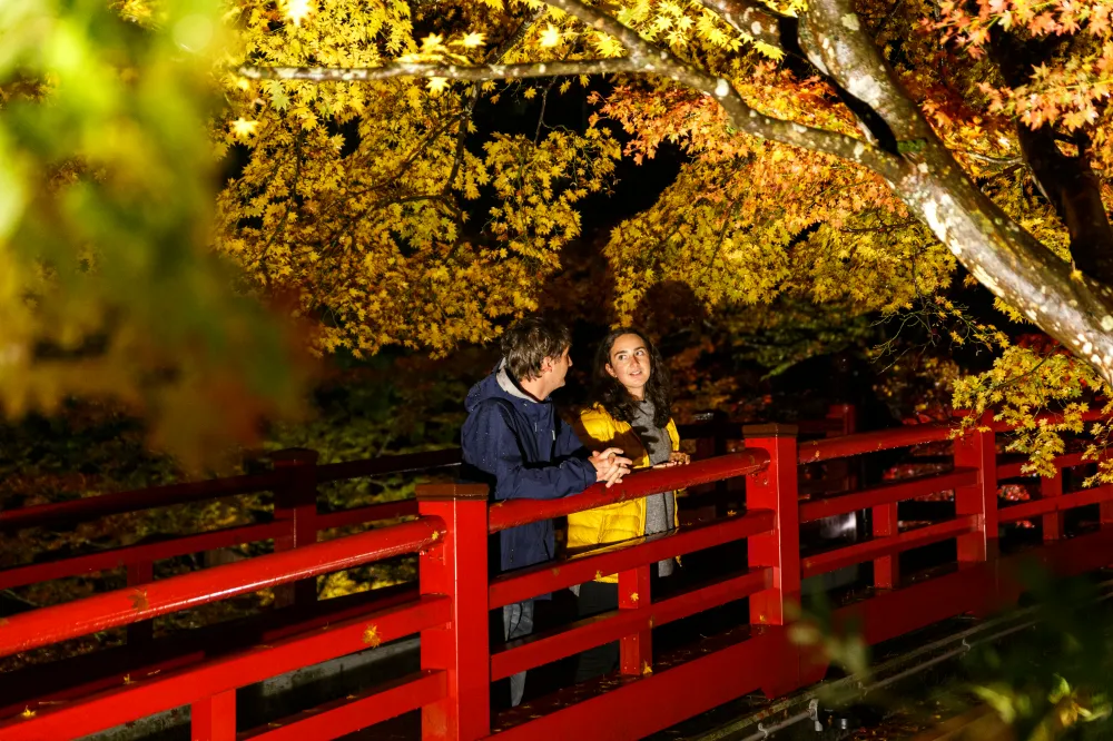 弥彦公園