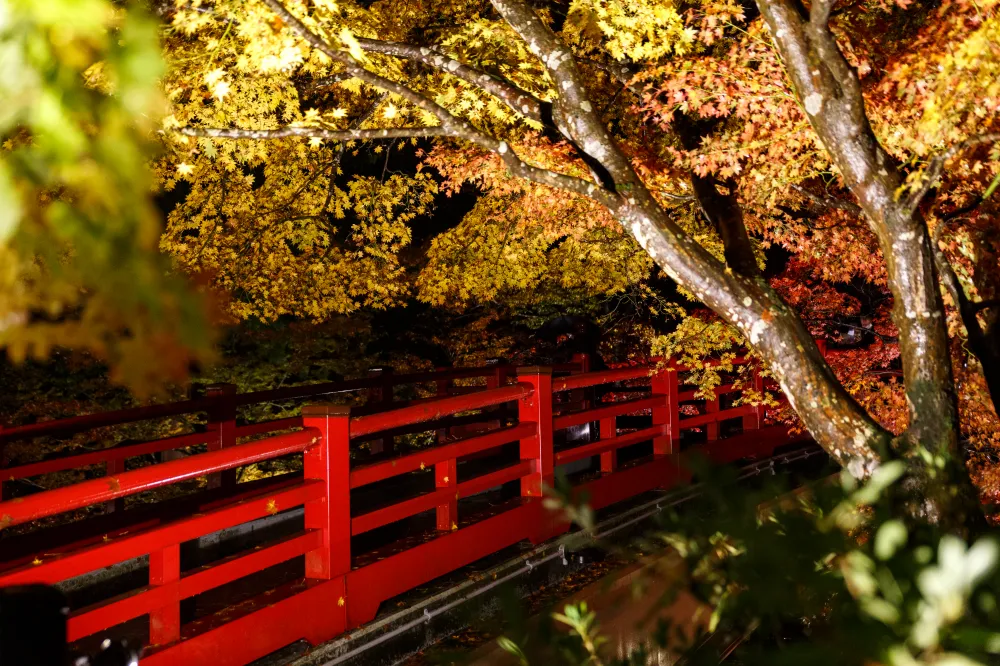 弥彦公園