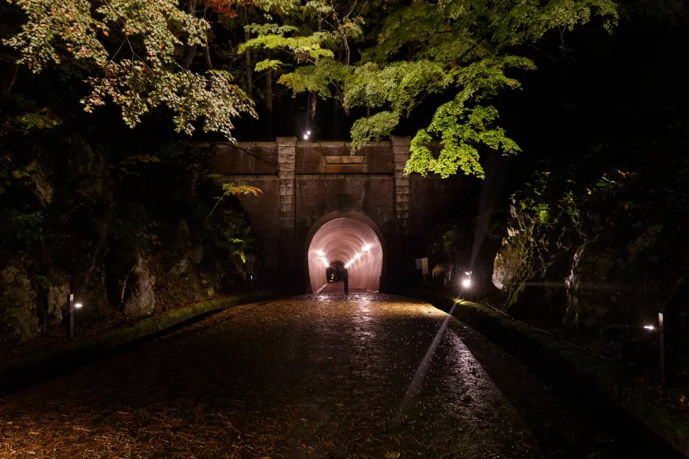 弥彦公園