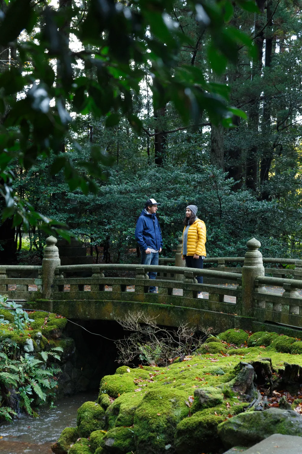 弥彦神社