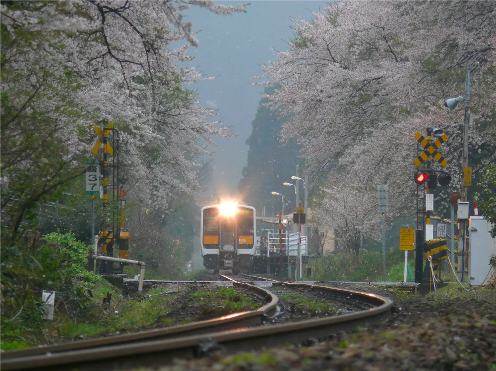 雨の朝