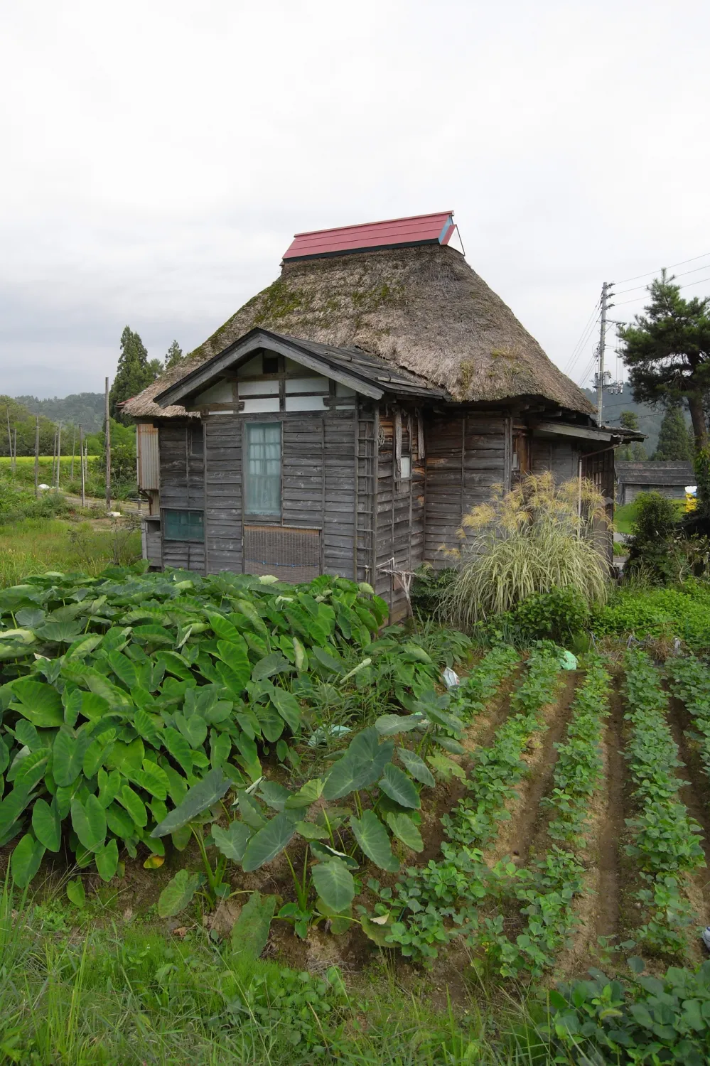 田舎の家