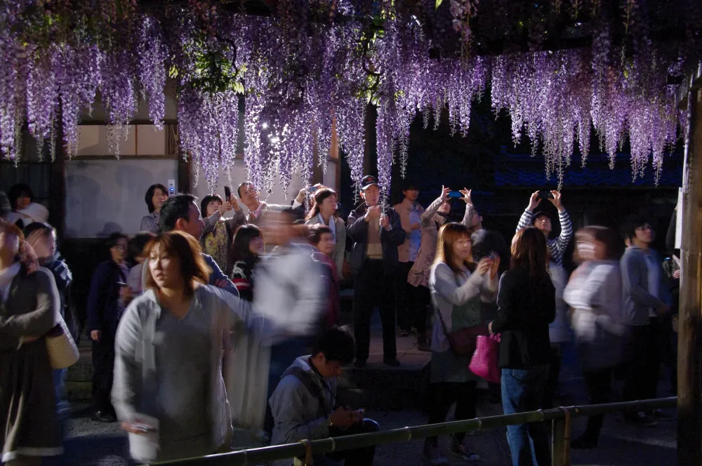 宵花