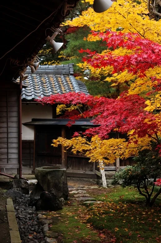秋の清水園