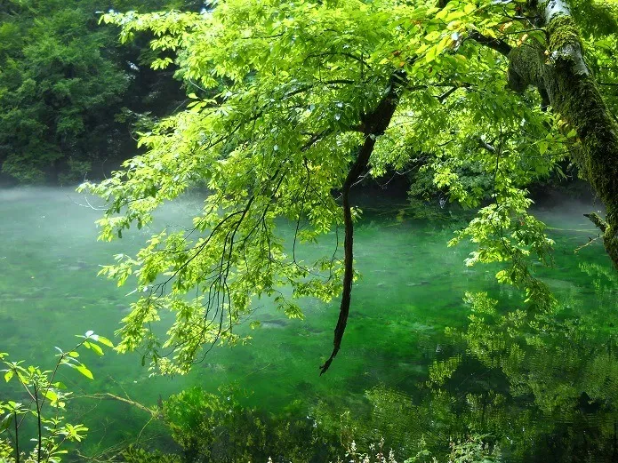 夏の日の竜ヶ窪
