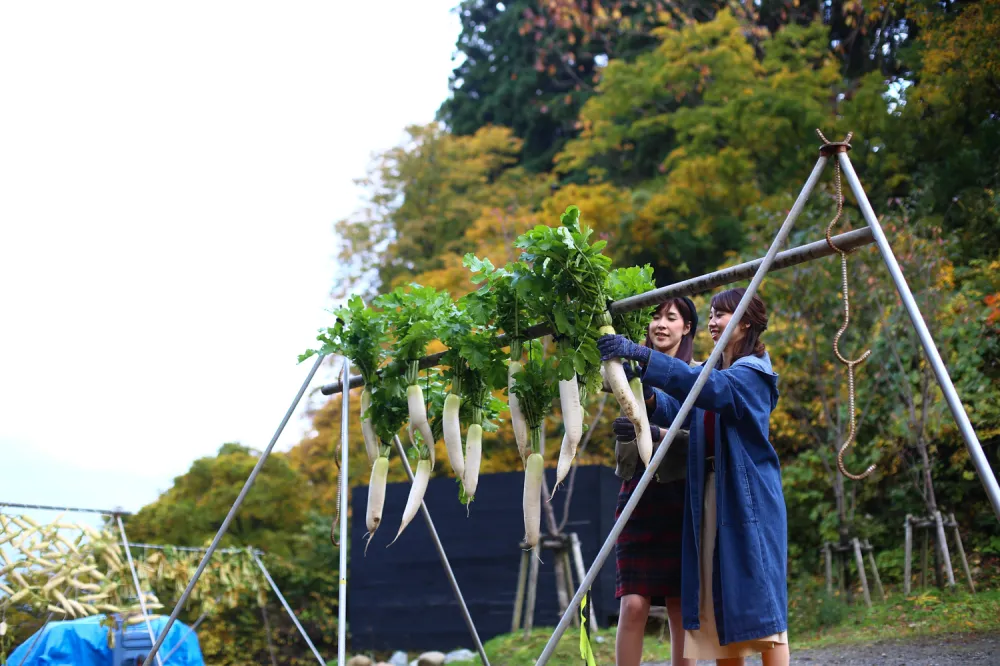 里山十帖