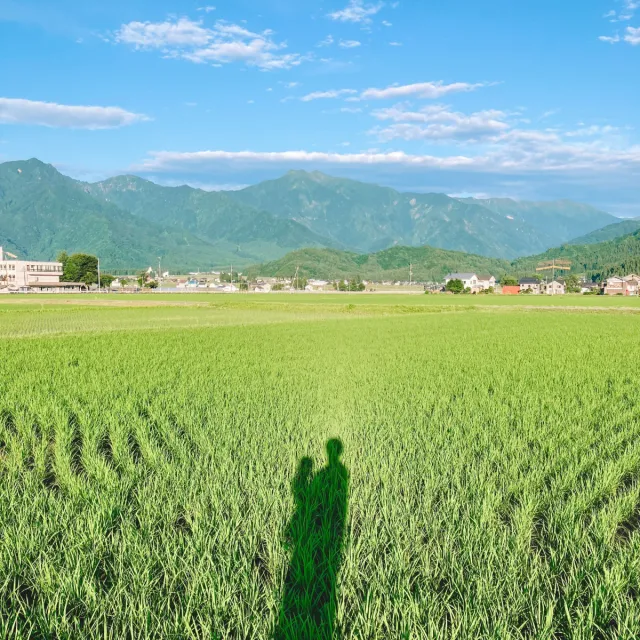 ねじ太			