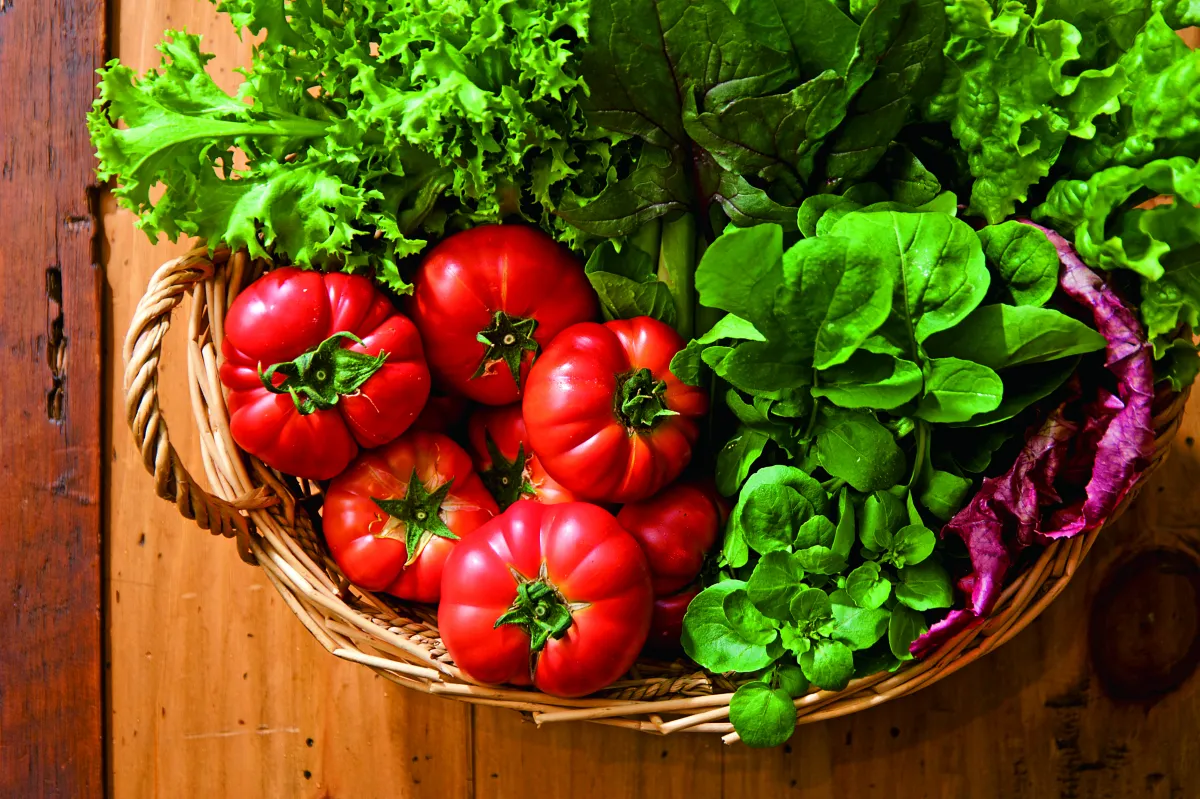 新潟の新鮮野菜を堪能！農家レストラン10選