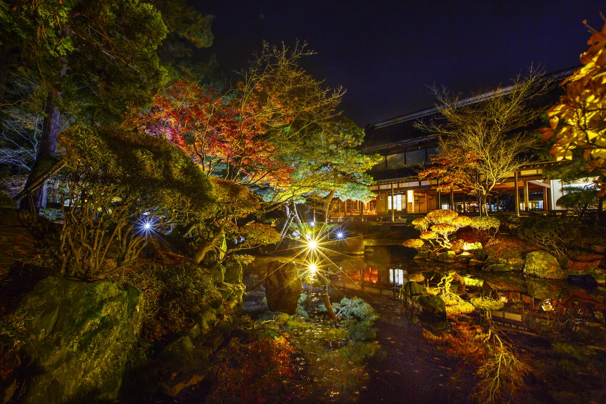 新潟の紅葉ライトアップ絶景スポット6選！2026年見頃時期まとめ