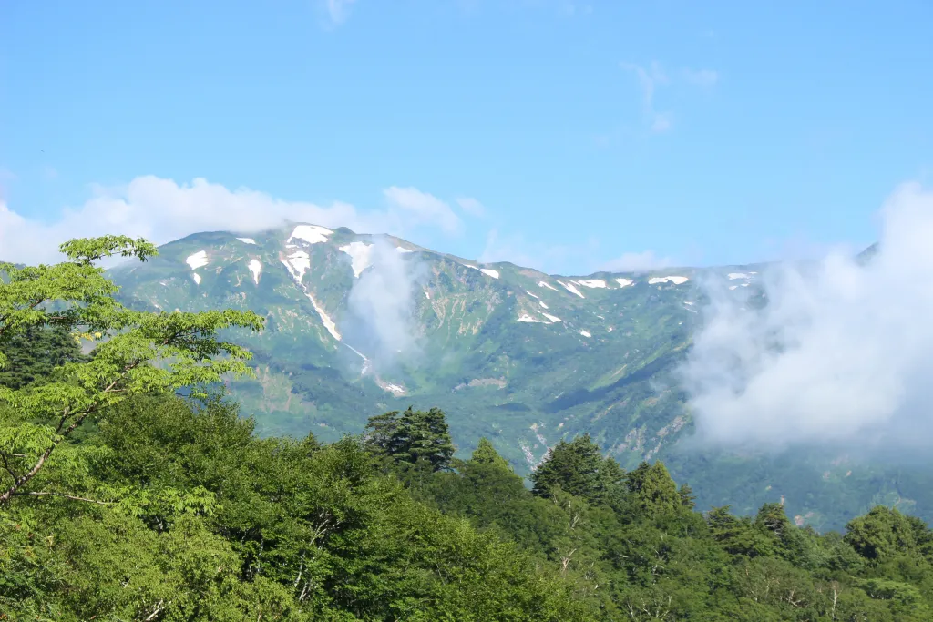 北アルプスの山々