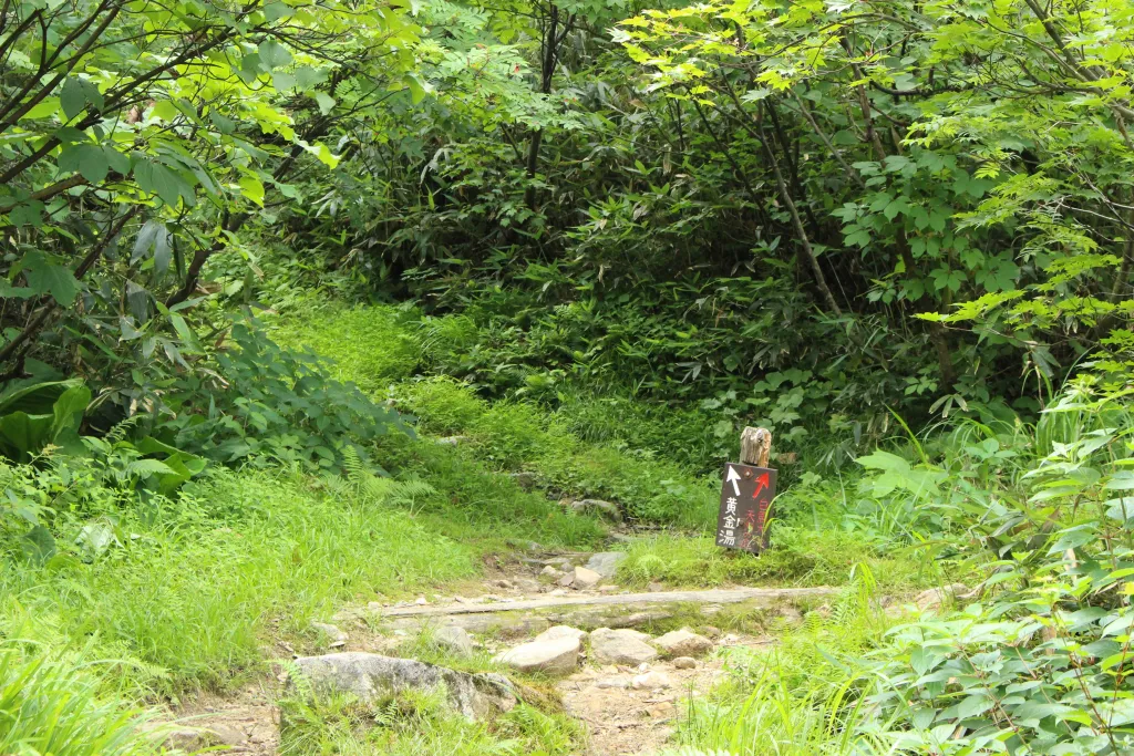黄金湯へと続く道