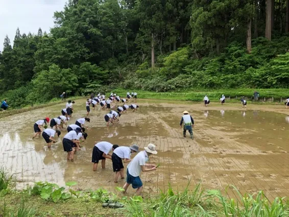 教育旅行