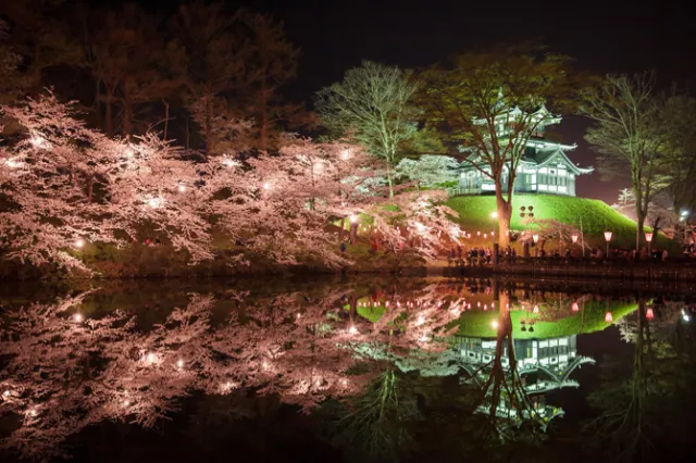日本三大夜桜 高田城址公園/上越市