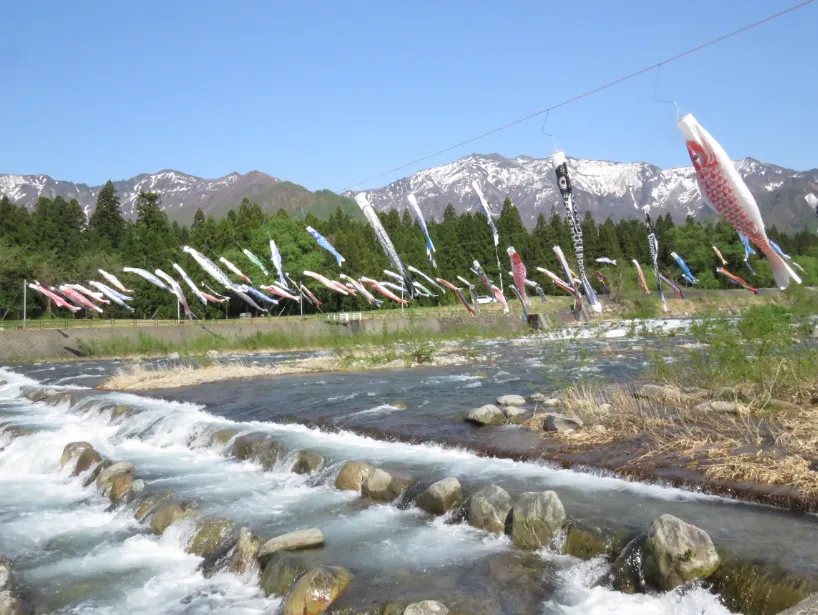 滝谷農村公園のこいのぼり元気に泳いでます！／南魚沼市