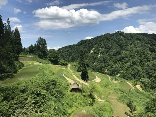 十日町市でのんびり棚田巡りとグルメ