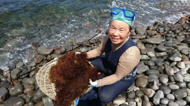 『笠島』を召し上がれ！／柏崎市