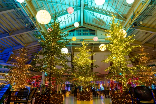冬のいくとぴあ食花!「GROWING ILLUMINATION 2018 WINTER」に出かけよう/新潟市