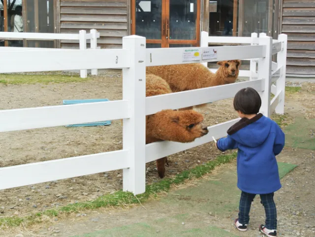 モフモフ最高！！動物ふれあいセンターに行ってみた／新潟市