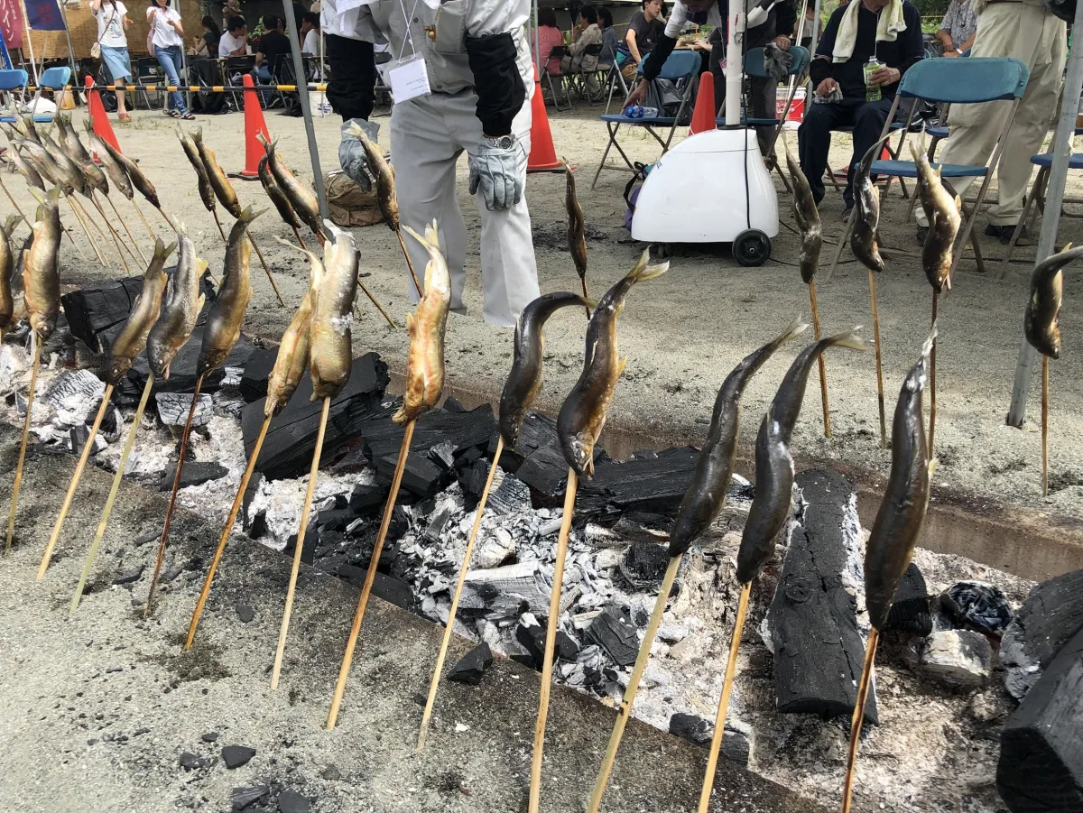 ”今が旬”鮎を豪快に炭火焼き！魚野川の「鮎まるかじり祭り」／南魚沼市