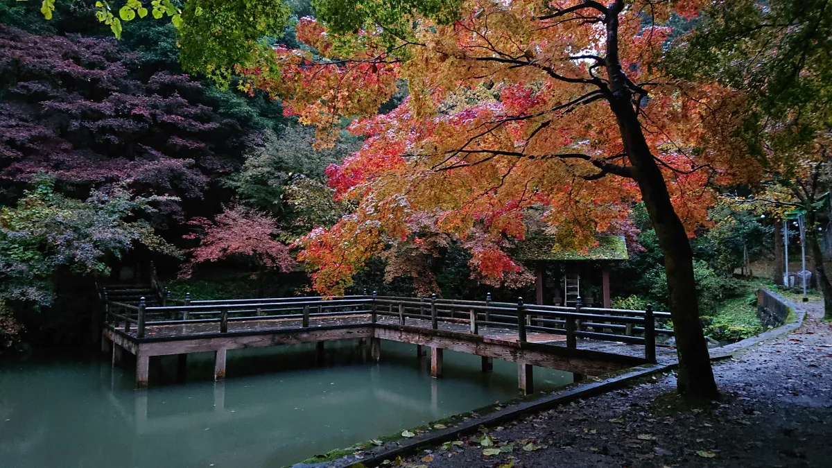 癒しの空間～加茂山公園～／加茂市