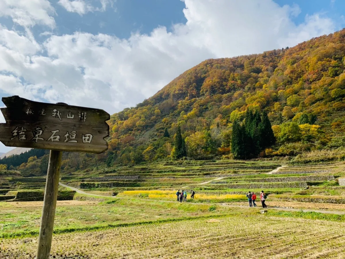 知る人ぞ知る絶景スポット！結東の石垣田／津南町
