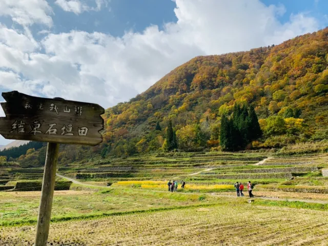 知る人ぞ知る絶景スポット!結東の石垣田/津南町