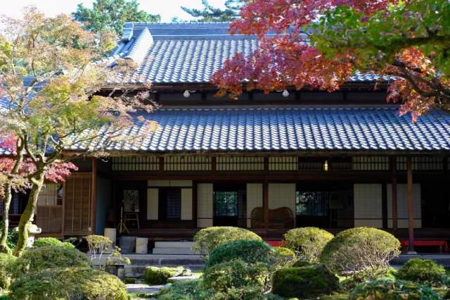 日本庭園と家屋のコラボレーションを楽しむ、越後豪農の館「椿寿荘」/田上町