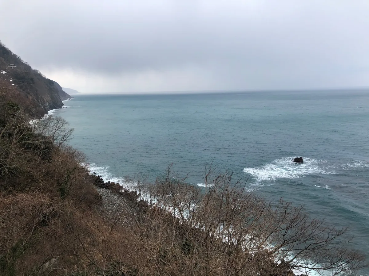 日本一！？親不知「幻のもずく」をもとめて／糸魚川市