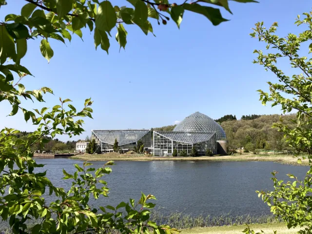 春の花散歩 秋葉区の「新潟県立植物園」へ行ってみよう／新潟市