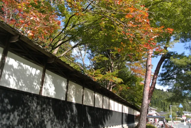 石油の里と中野邸記念館のもみじは色づき始め！／新潟市