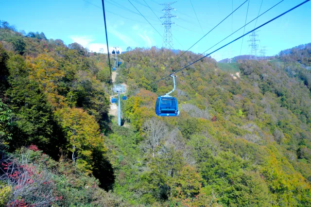 紅葉の苗場ドラゴンドラに乗ってきました。子どもが楽しめるポイントも！／湯沢町