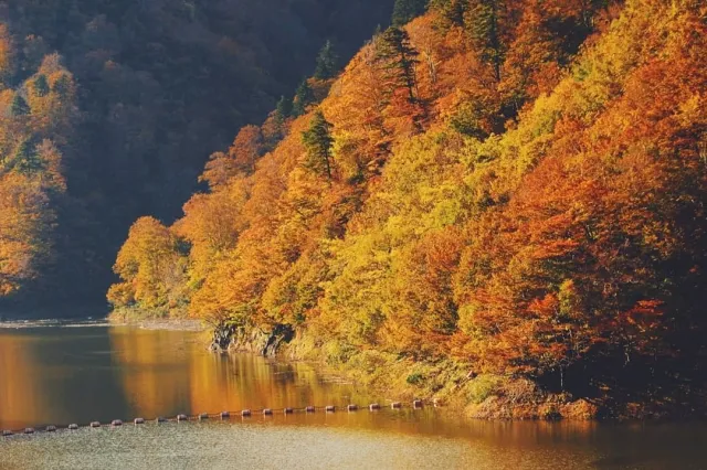 自然の姿に圧倒される!奥胎内で自分だけの紅葉スポットを見つけよう/胎内市