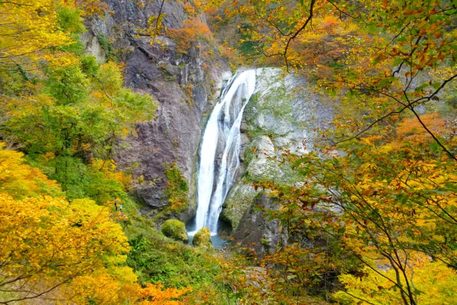 滝!橋!紅葉!写真に収まりきらない秋の絶景を見に行こう/村上市