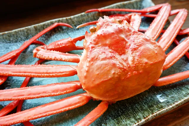 日本海側最大級のベニズワイガニ直売所でカニ三昧!道の駅マリンドリーム能生「番屋」で贅沢なカニづくしセット!/糸魚川市