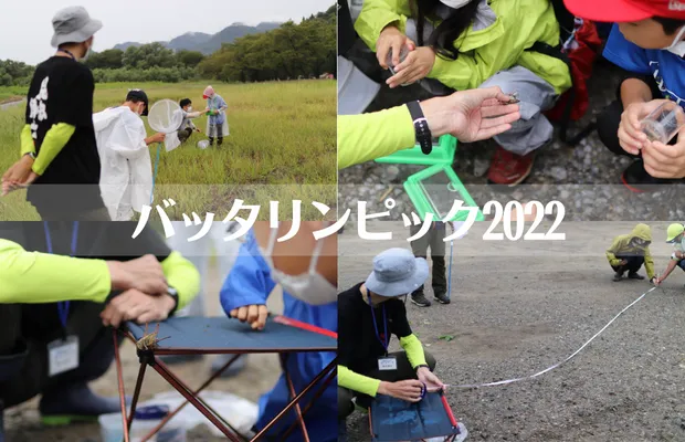 虫苦手なままで大丈夫？本能が目覚める「バッタリンピック2022」で子供が変化。今注目の“あがまちファンクラブ”に潜入／阿賀町