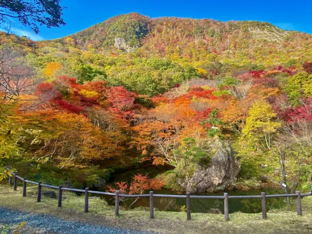 【最新情報追加】今年は紅葉の当たり年!? 周辺グルメスポットも 佐渡の紅葉 見どころMAP／佐渡市