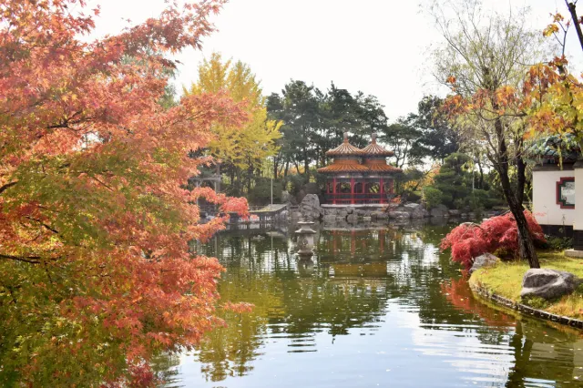 身近な庭園「新潟市天寿園」へ/新潟市