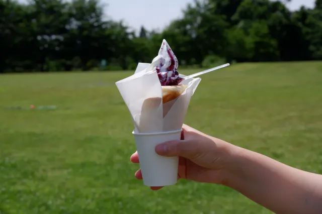道の駅良寛の里わしまで希少なガンジー牛乳のソフトクリームを食す/長岡市