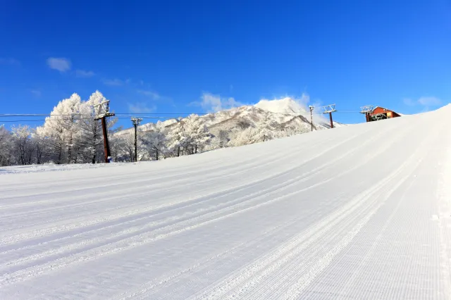 天然雪100%!家族で楽しめる赤倉温泉スキー場/妙高市