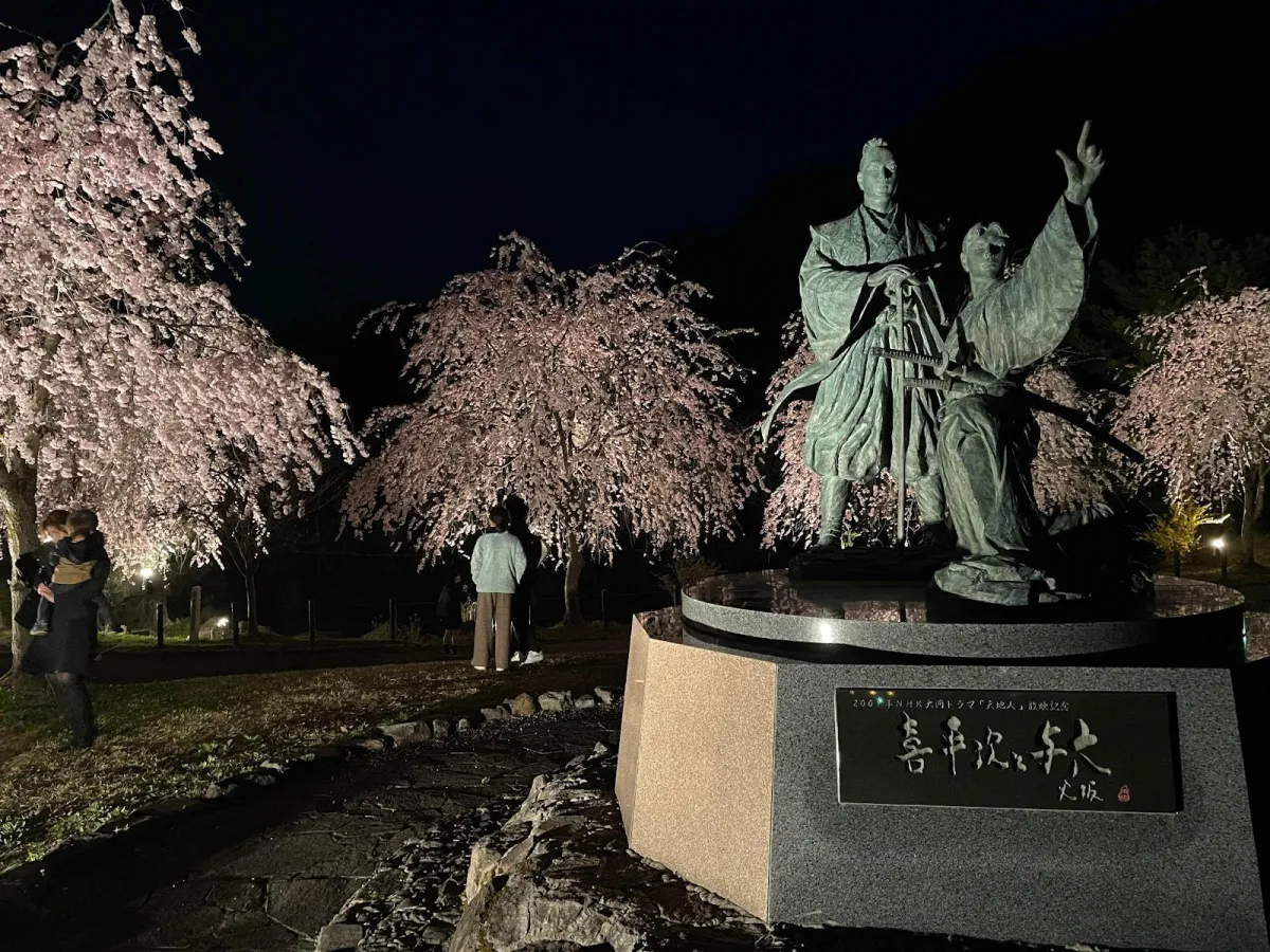 六日町の桜の名所「銭淵公園」の幻想的な夜桜を見に行こう／南魚沼市
