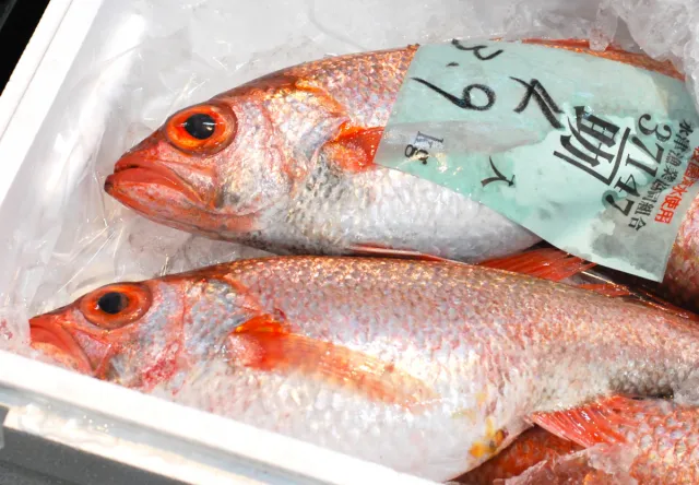 ぎょぎょぎょ、新潟の進化系さかなやさんに密着!「お魚屋 秋ちゃん」/新潟市
