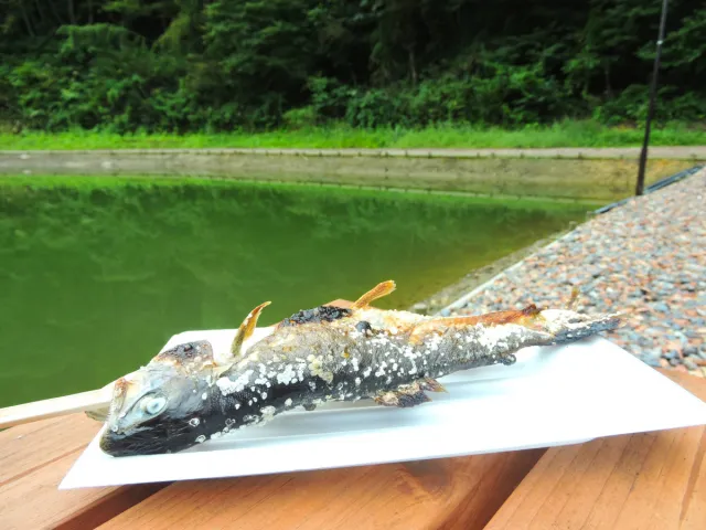 手ぶらで釣ってそのまま塩焼き!森の中の釣り堀「Gun Gun Fishing Field」/田上町