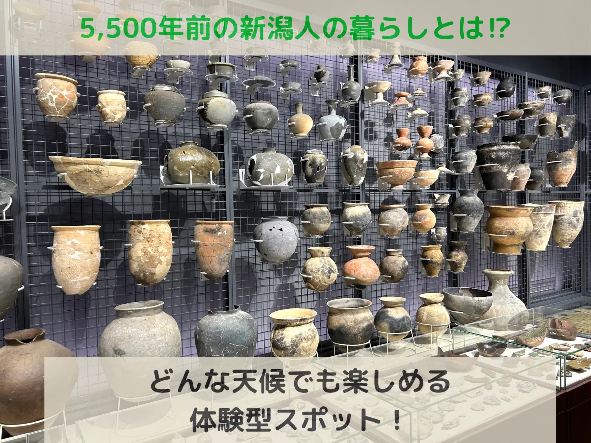 縄文人いたのかな？古代の新潟に思いをはせる「新潟市文化財センター（まいぶんポート）」／新潟市